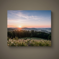 Wandbild Natur 1 – Studio 1